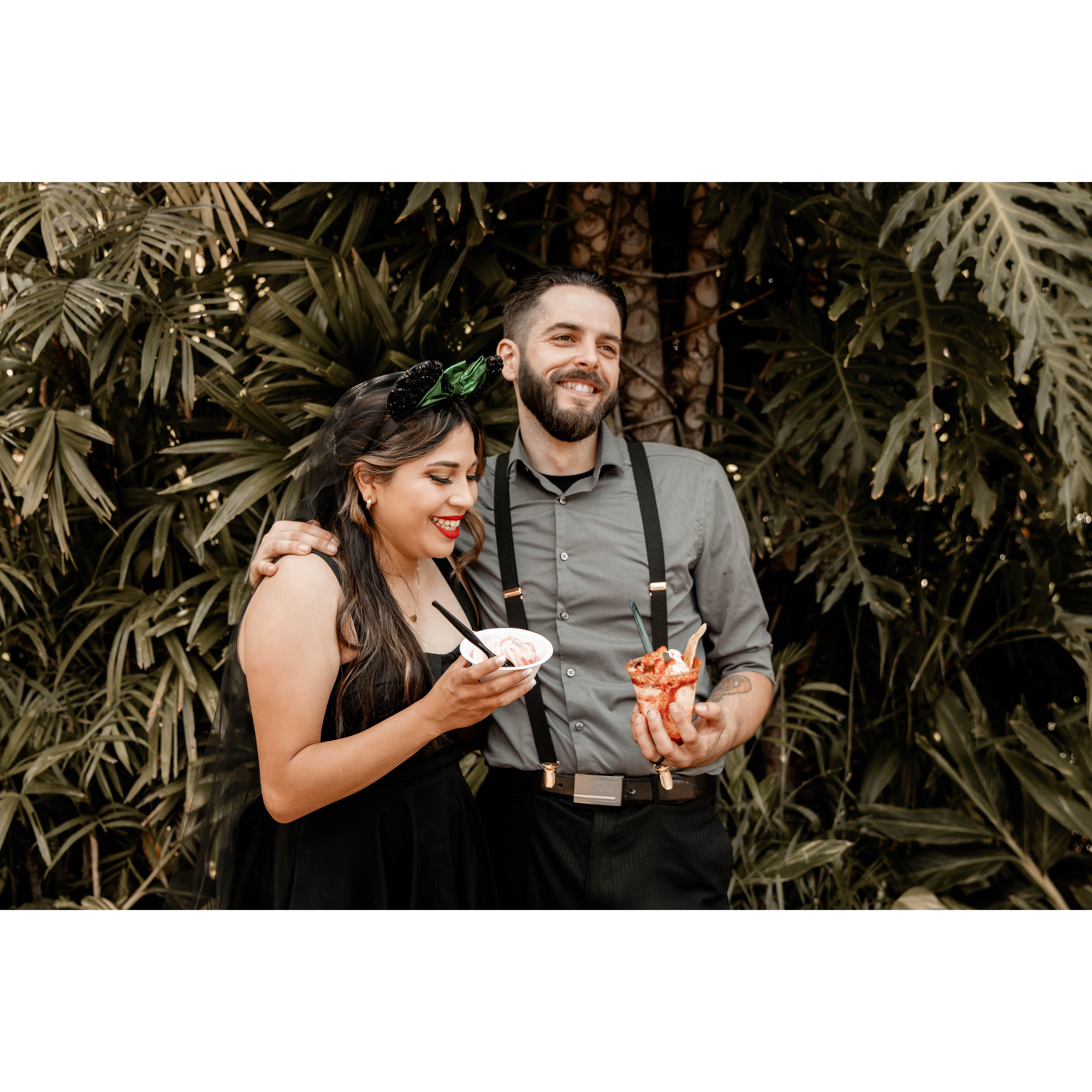 Disneyland Fairytale Engagement Photo shoot