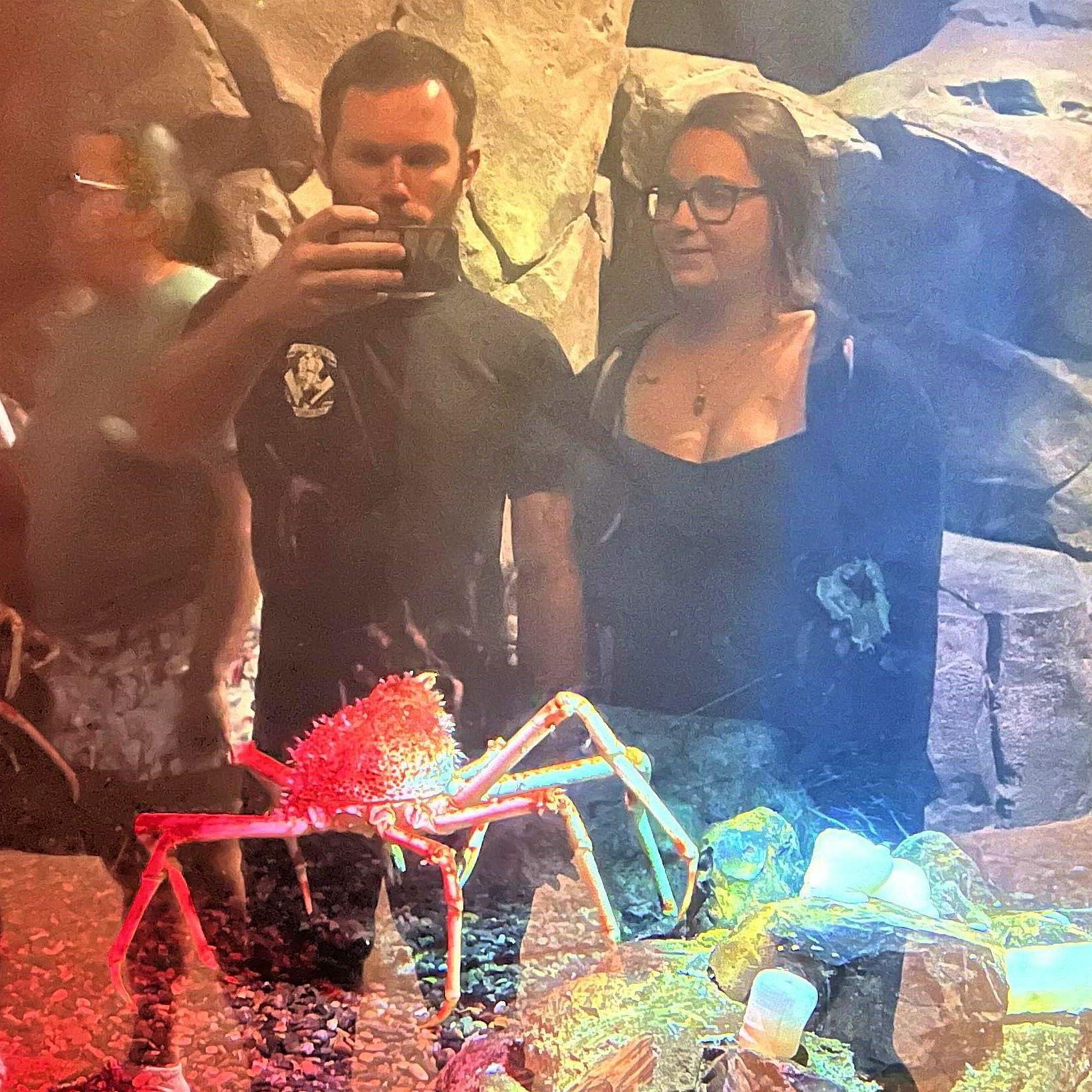 Our first vacation together! The Georgia Aquarium