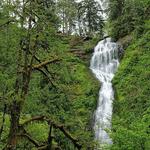 Munson Creek Falls State Natural Site
