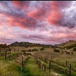 Villa Vallecito Vineyards Inc