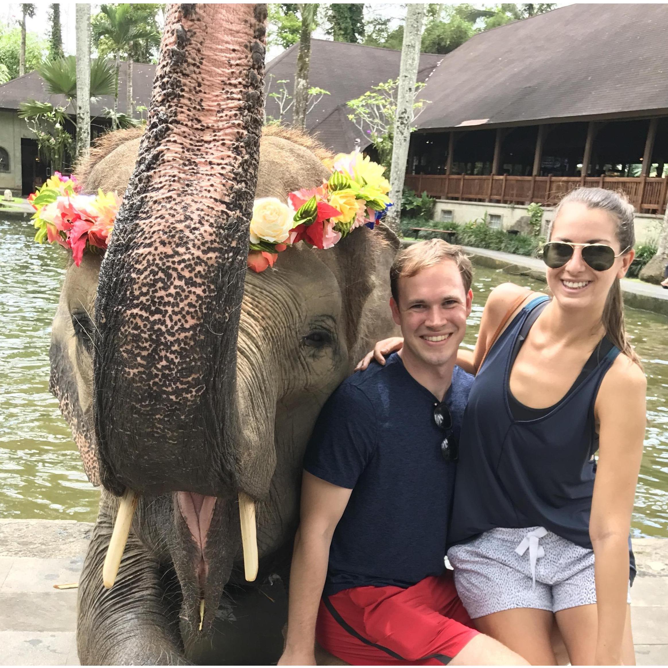 Riding Elephants in Ubud