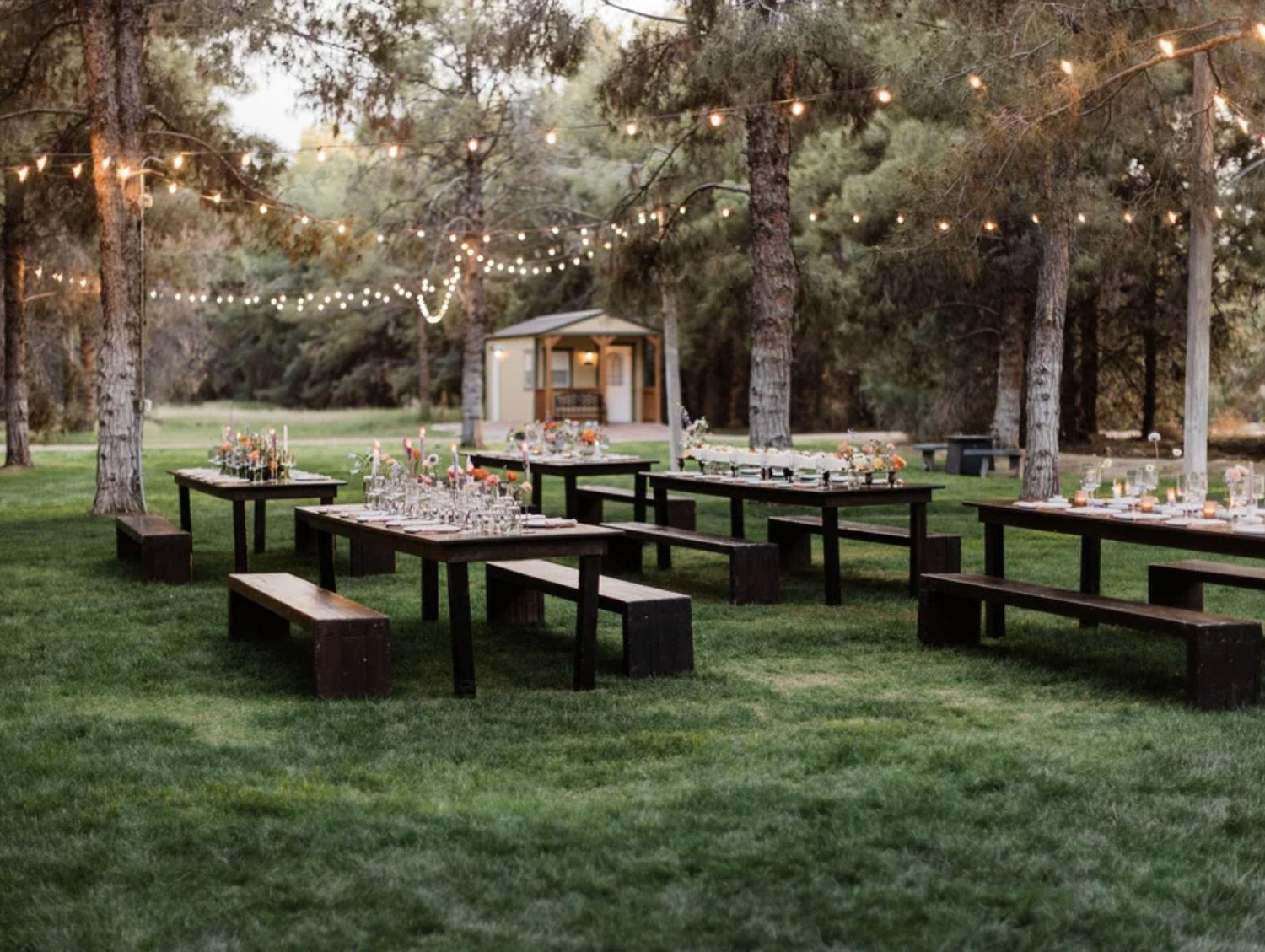 The Wedding Website of Laelah Nava and Silas Howell