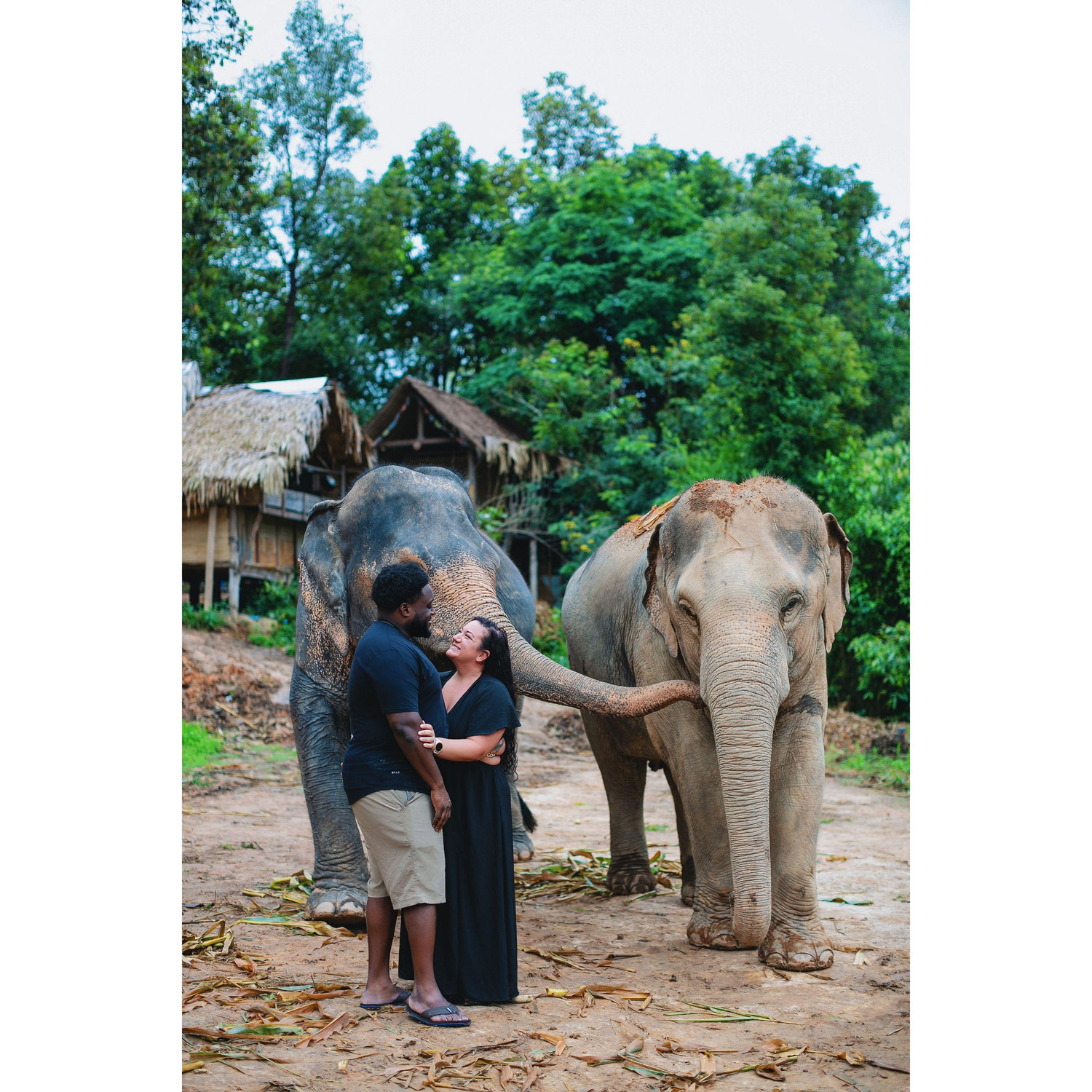 Bonding with elephants in Thailand