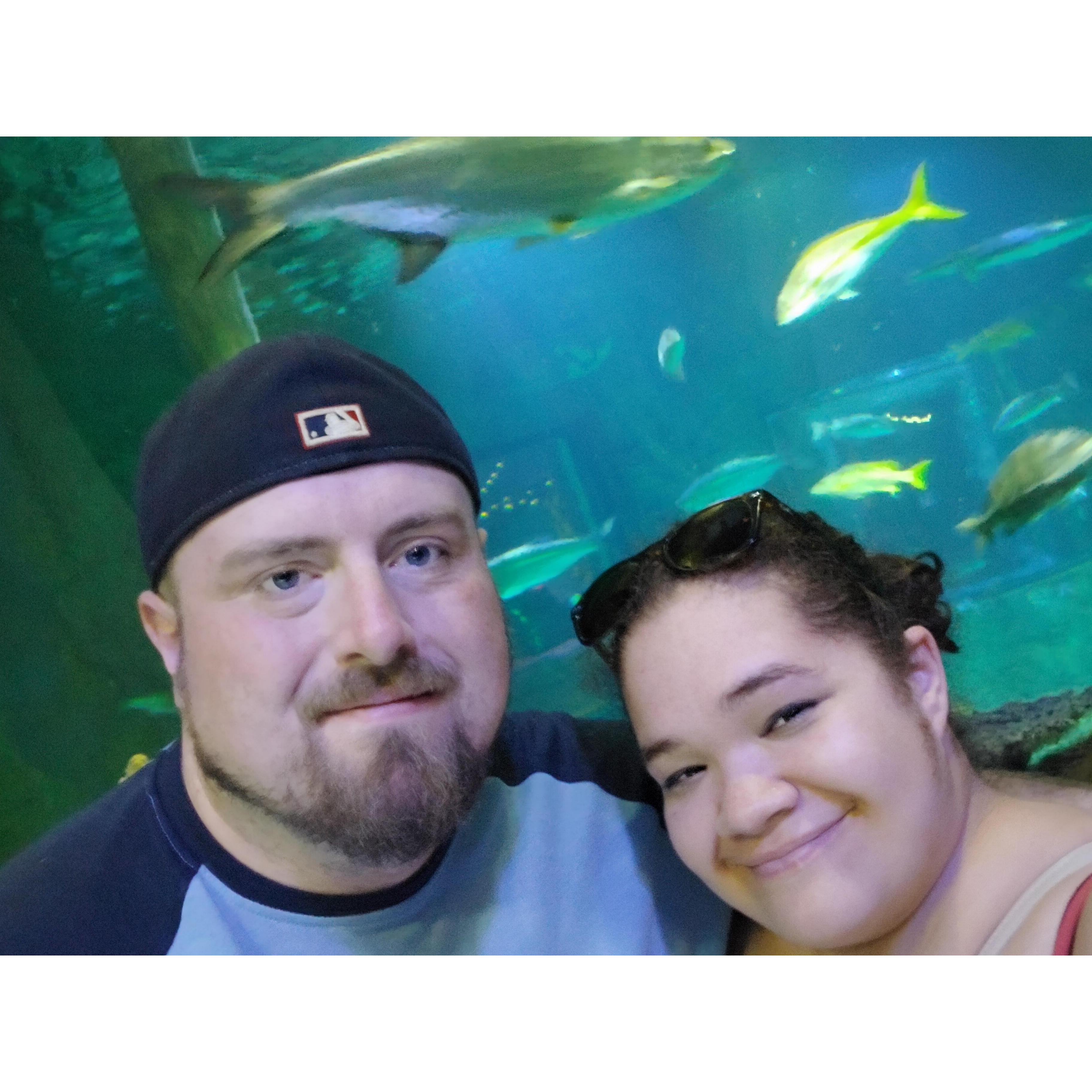 At the aquarium in Orlando, FL