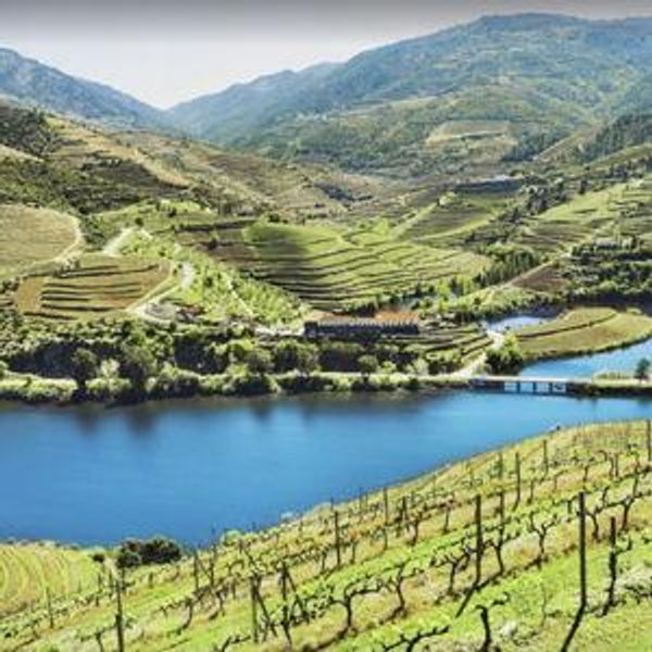 Duoro Valley Wine Tour- Honeymoon