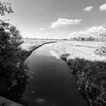 Marion Tallgrass Trail