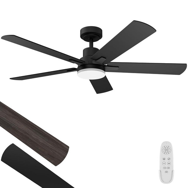 Regair Ceiling Fans with Lights 52-Inch, Remote Control Reversible DC Motors, 3CCT Dimmable Timer Noiseless, Black Ceiling Fan for Bedroom Living Room, Indoor&Outdoor ETL Listed