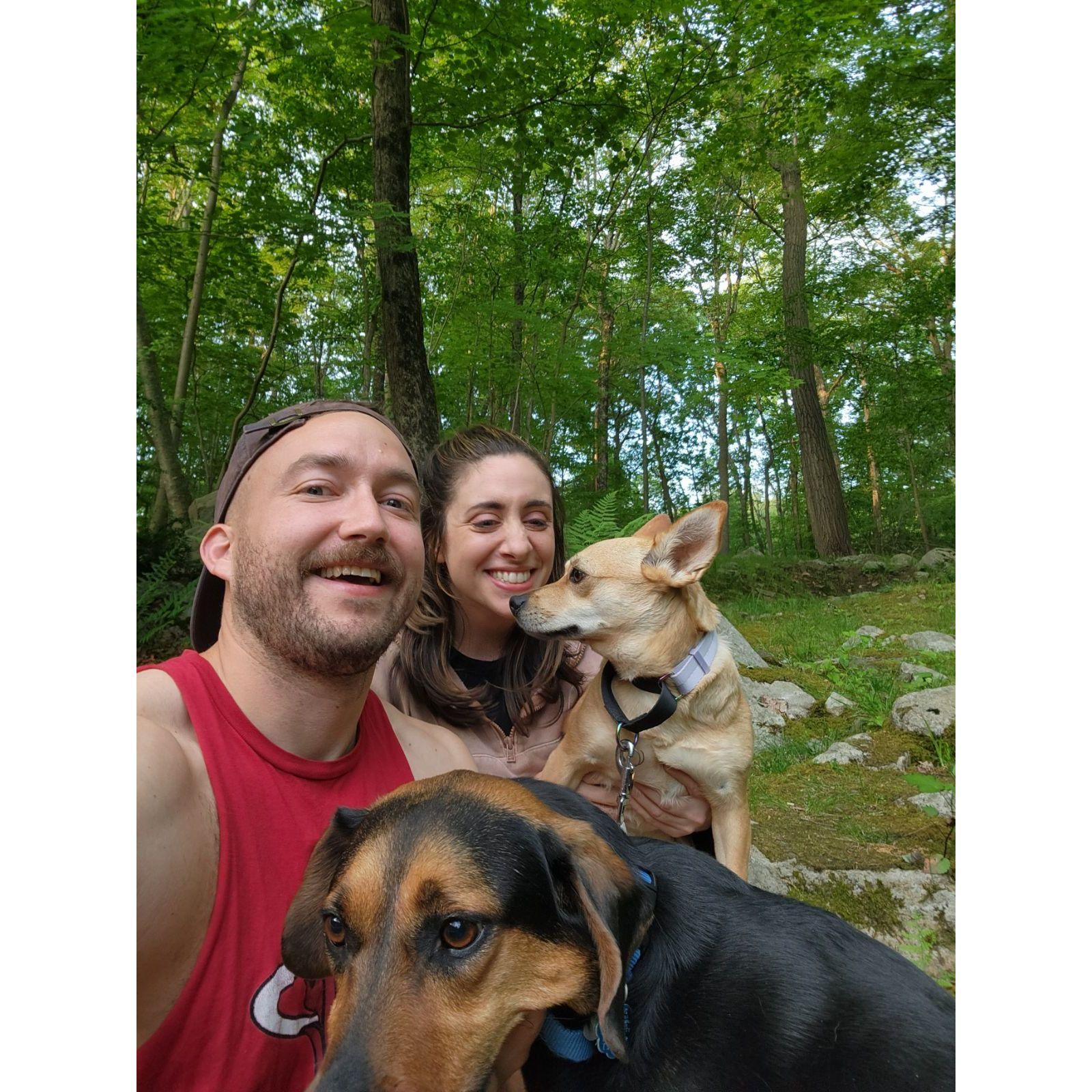 Hanging with the dogs in our backyard