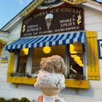 Sea Shell Ice Cream