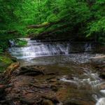 Penitentiary Glen Reservation