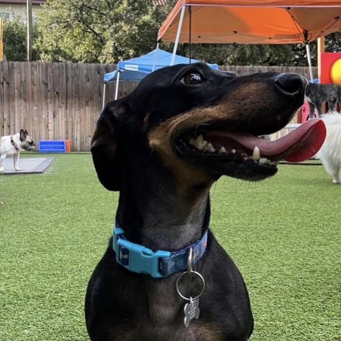 Leo Gets Accepted into Daycare