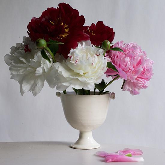 White Earthenware Footed Cup Coiled Handles