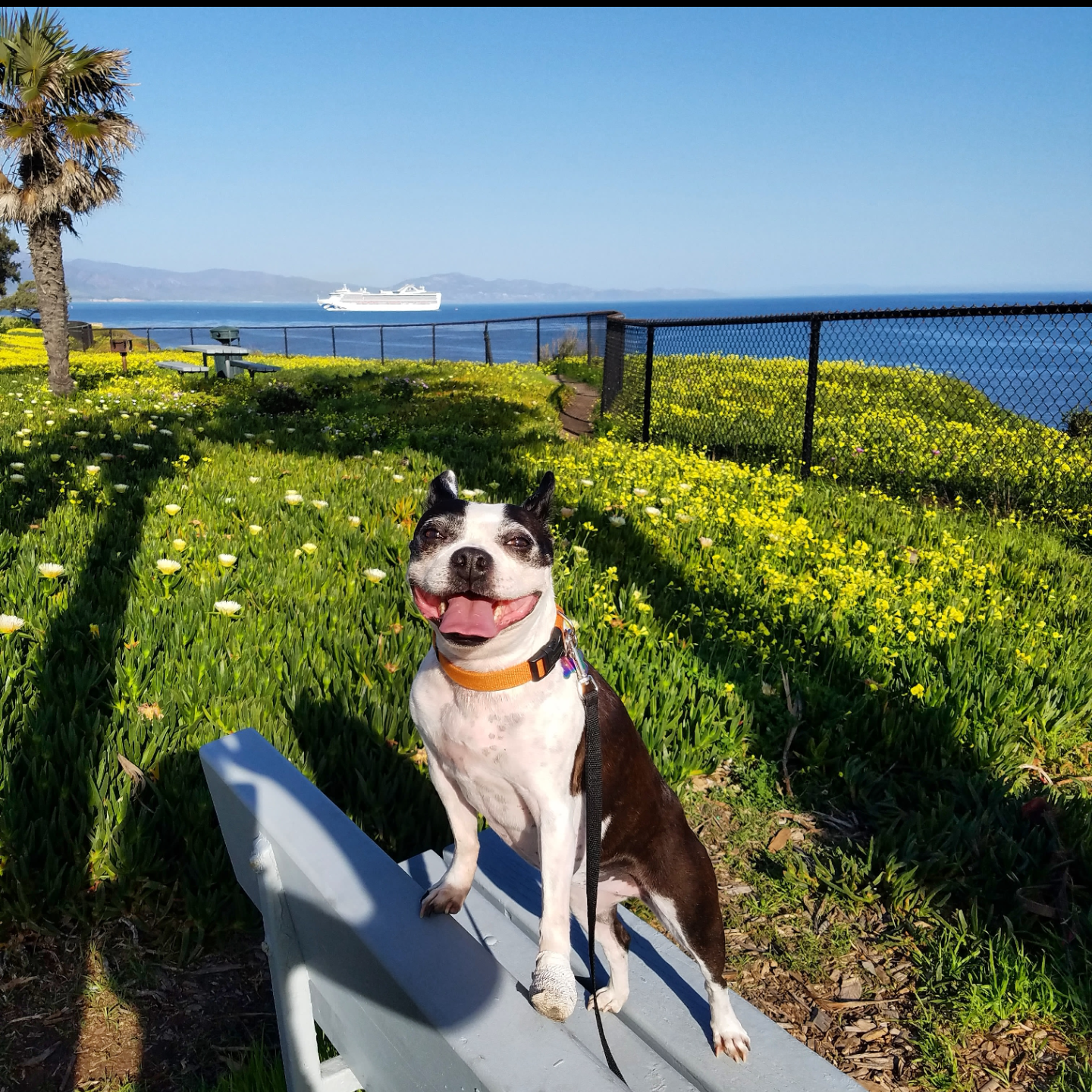 Shoreline Park