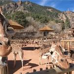 Cheyenne Mountain Zoo