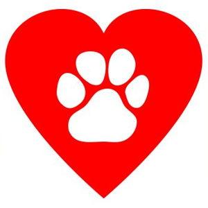 Sponsor a Pet Adoption