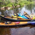 Frisky Otter Tours, Inc.