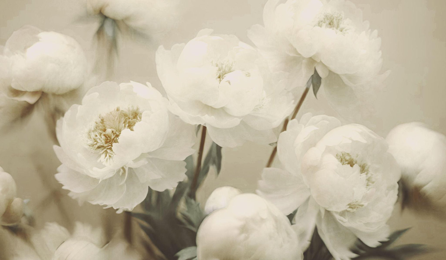Footer image