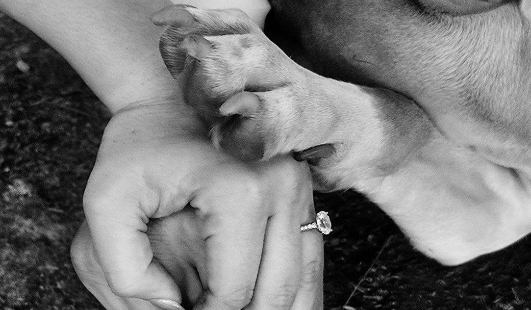 The Wedding Website of Marah Chambers and Zakary Seth Huckaby