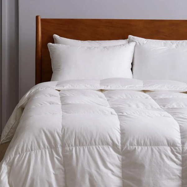 Premium Down Comforter - Down, Full/Queen