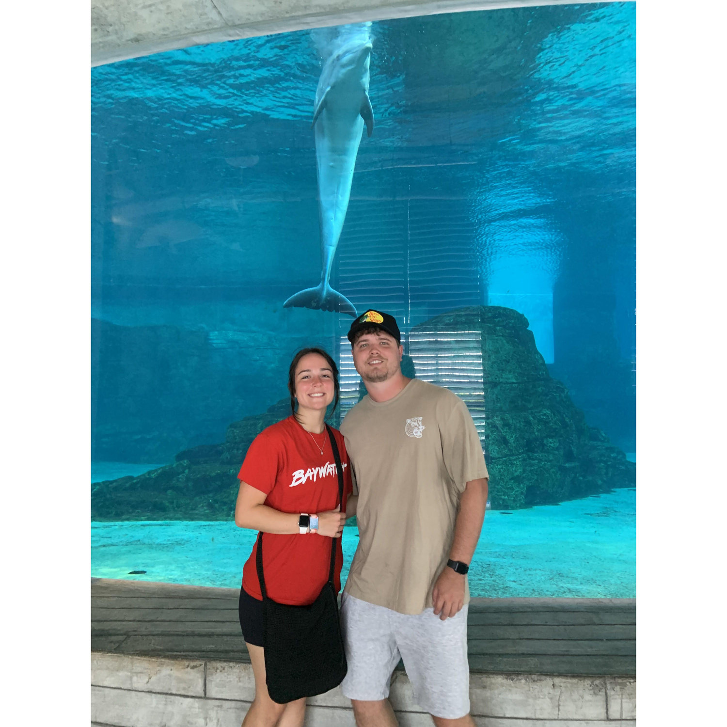 Our first aquarium.