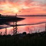 Back Cove Trail