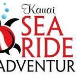 Sea Riders Adventures - Snorkling & Whale Tours