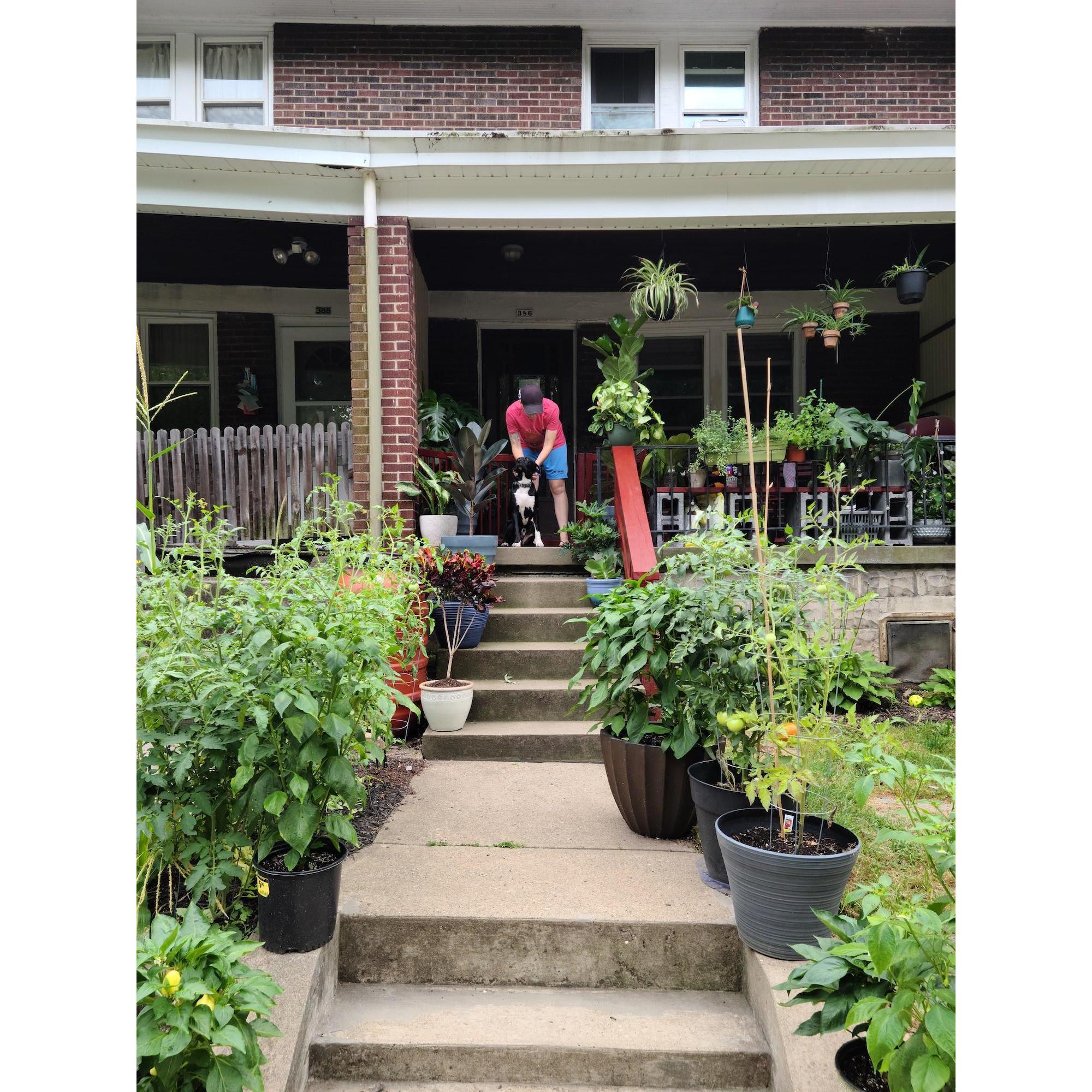 Our home is a jungle, bursting with life, the fruits of love and labor, and pet hair.