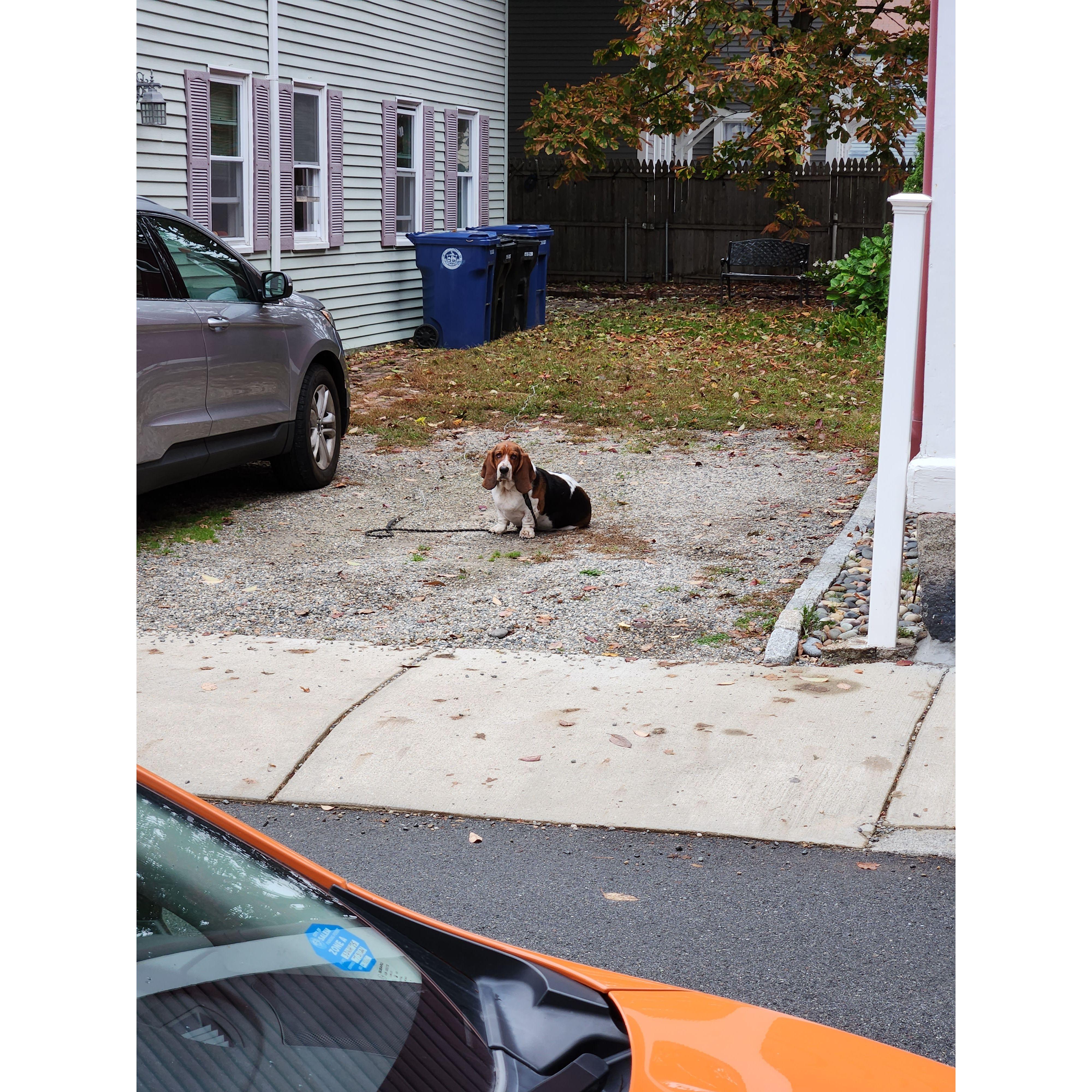Neighborhood watch.  We stopped to take this picture while on the way to the House of the Seven Gables!