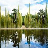 Jardín Etnobotánico de Oaxaca