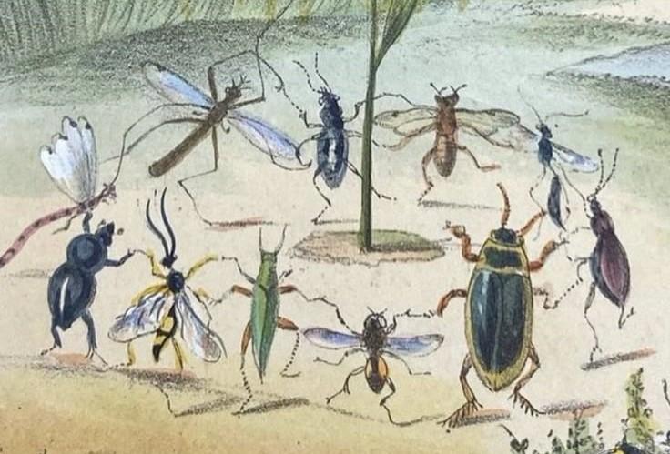 The Wedding Website of Anne Hughes and Zayne Alsaif