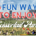 Scissortail Park Play Pavilion