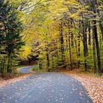 Chestnut Ridge Park