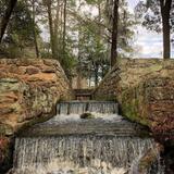 Poinsett State Park