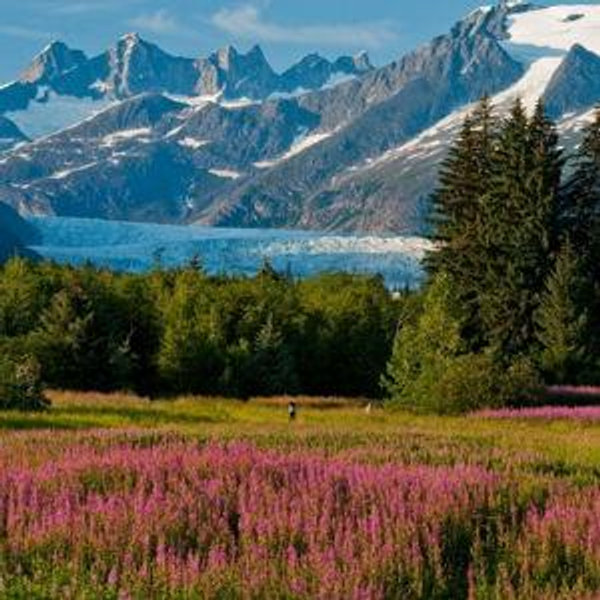 alaska honeymoon fund