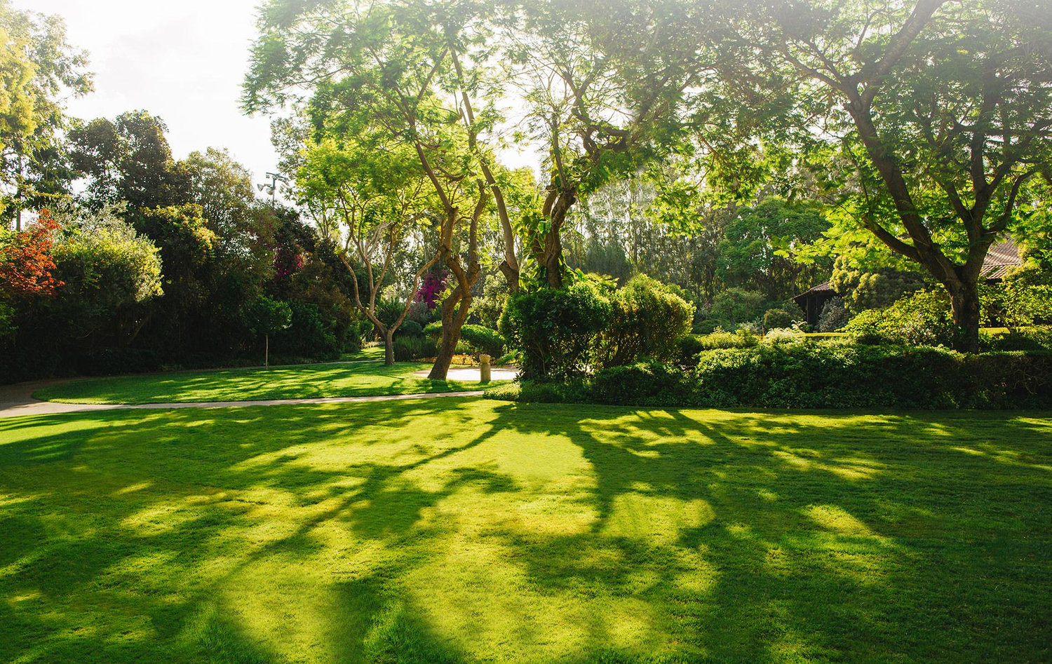 The Wedding Website of Dorin Baniel and Yonatan Levi