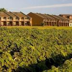 Glenora Wine Cellars