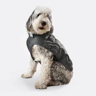 Original Weighted Dog Vest