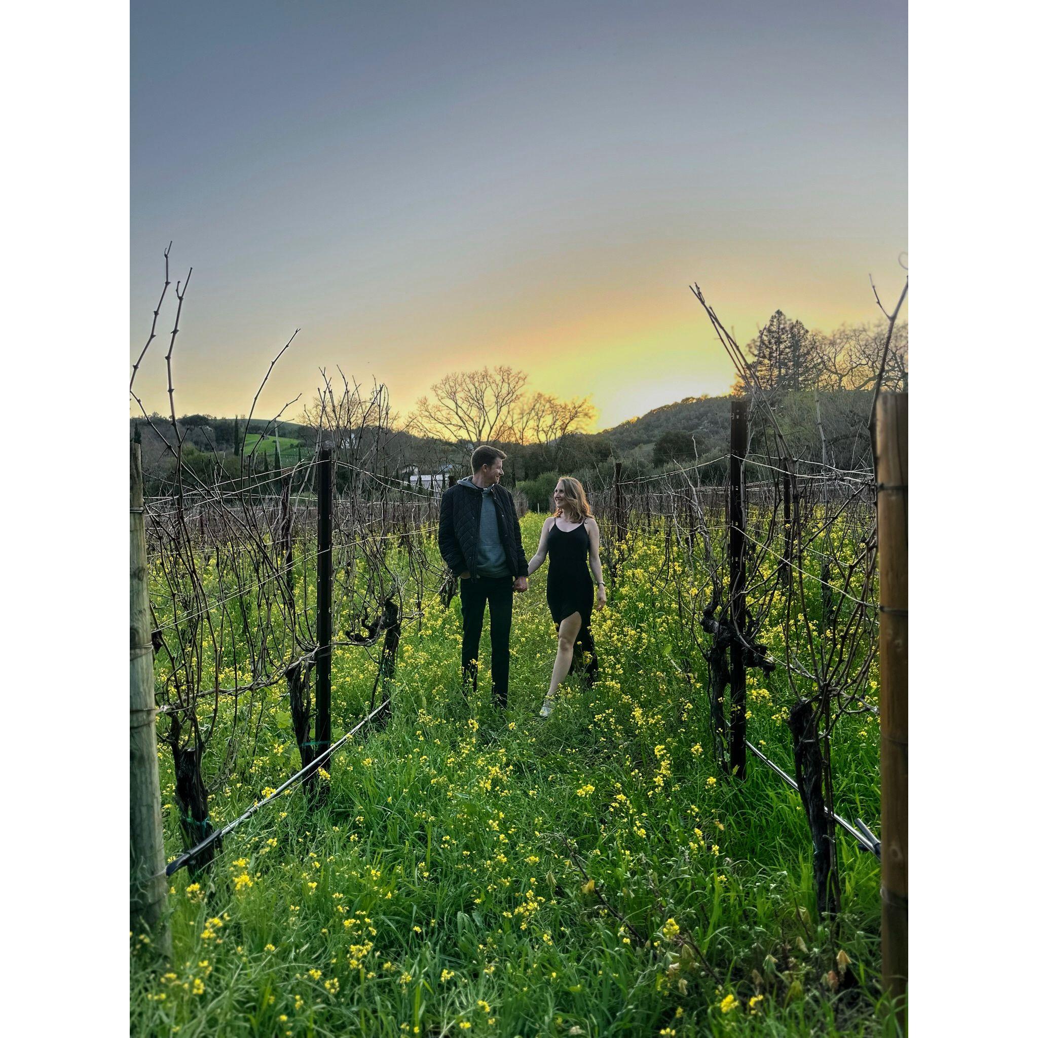 Strolling in the Andre Family Vineyard aka Matt's childhood home's backyard in Napa