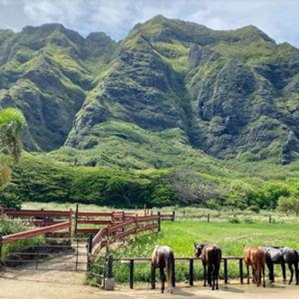 Horseback Riding at Kualoa Ranch
