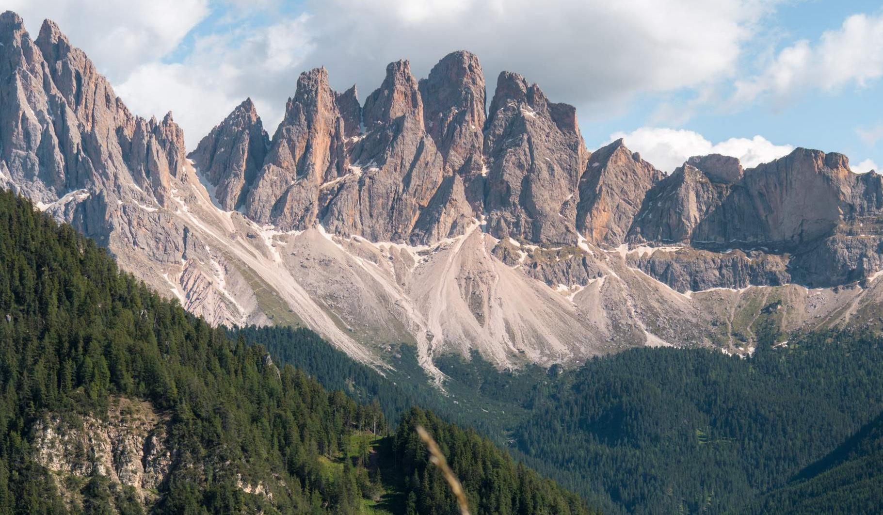 The Wedding Website of Claire Brett and Skylar Ryskamp