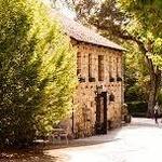 Buena Vista Winery