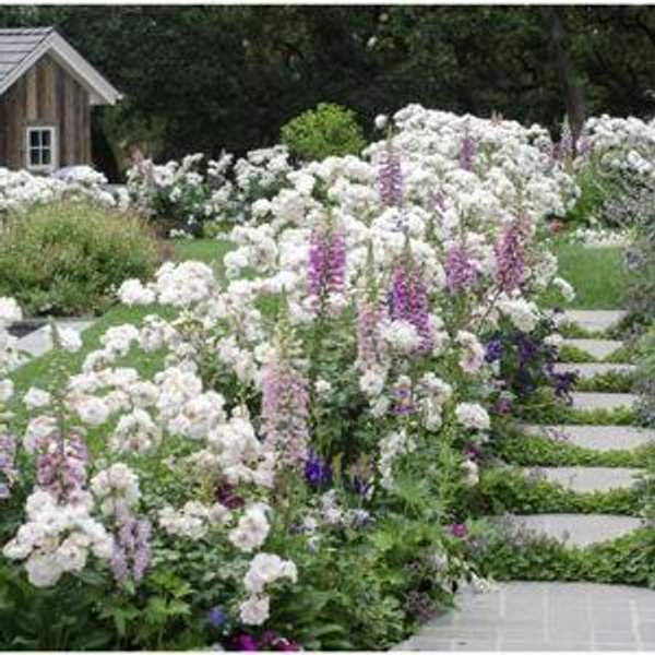 Garden Glow-Up Fund