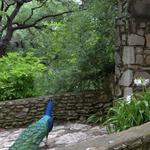 Mayfield Park and Nature Preserve
