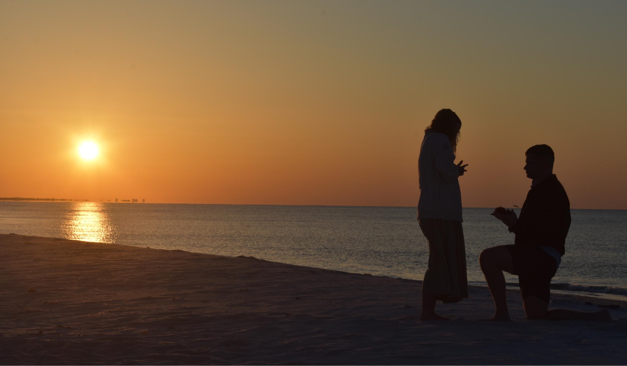 The Wedding Website of Alex Helwer and Miranda Mctyre