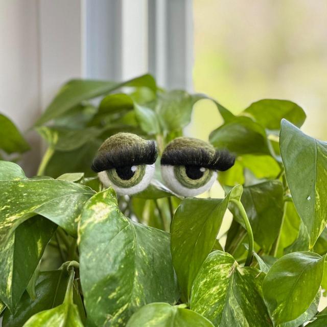 Felt Planter Eyeballs with Eyelashes - Gifts for Plant Lovers - Plant Stakes - Funny gift ideas