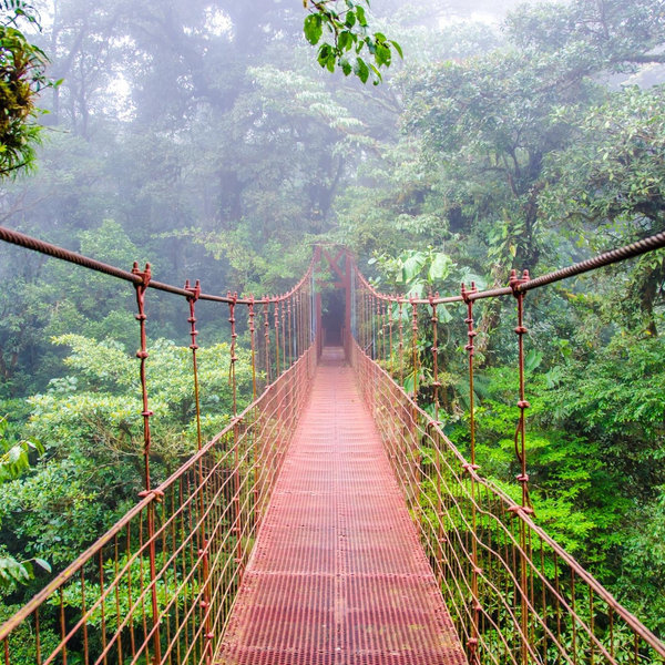 Monteverde Honeymoon Airbnb