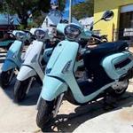 Minty's Golf Cart and Scooter Rental