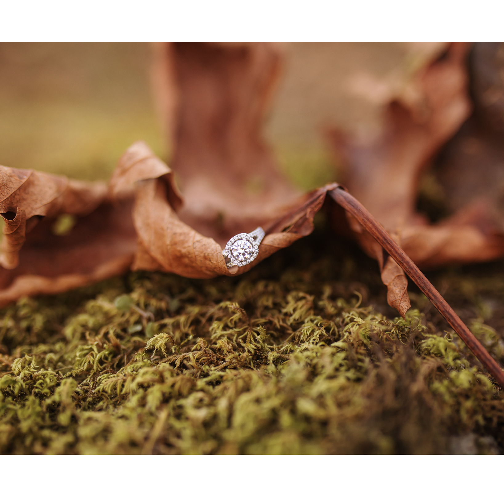 A beautiful, Autumn shot of the engagement ring