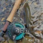 Fly Fishing