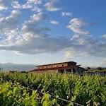 Van Ardi Winery